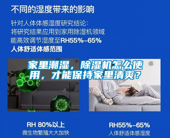 家里潮濕，除濕機怎么使用，才能保持家里清爽？