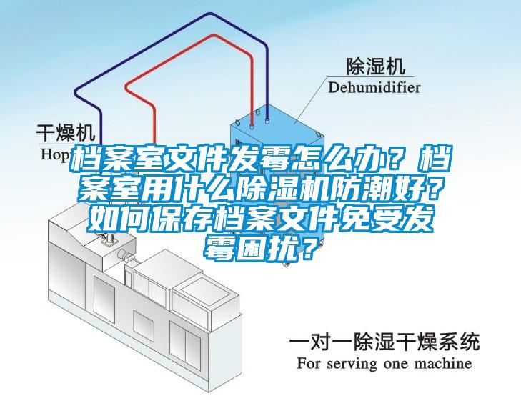 檔案室文件發(fā)霉怎么辦？檔案室用什么除濕機(jī)防潮好？如何保存檔案文件免受發(fā)霉困擾？