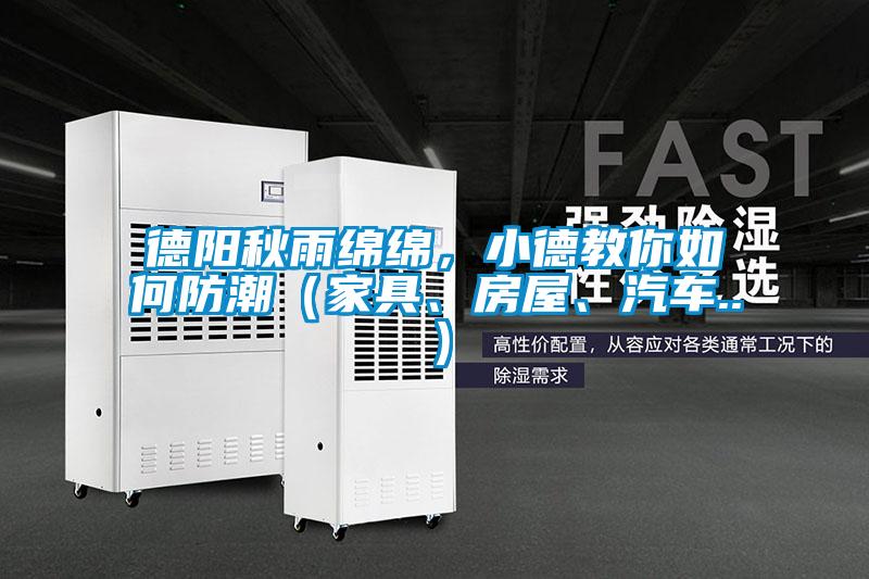 德陽秋雨綿綿，小德教你如何防潮（家具、房屋、汽車..）