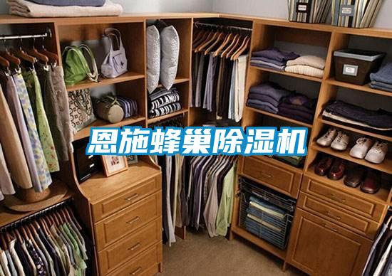 恩施蜂巢除濕機