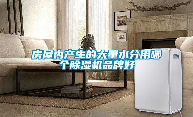 房屋內(nèi)產(chǎn)生的大量水分用哪個(gè)除濕機(jī)品牌好