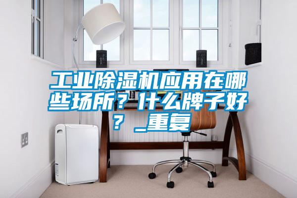 工業(yè)除濕機(jī)應(yīng)用在哪些場(chǎng)所？什么牌子好？_重復(fù)