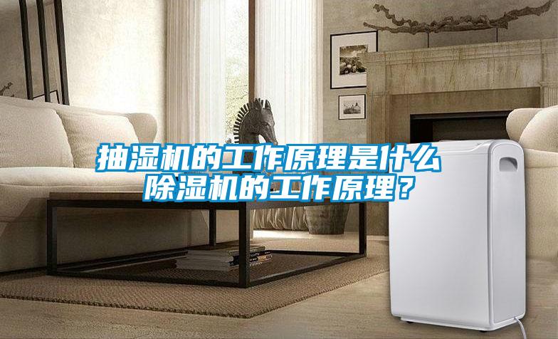 抽濕機的工作原理是什么 除濕機的工作原理？