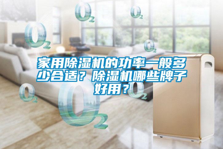 家用除濕機的功率一般多少合適？除濕機哪些牌子好用？