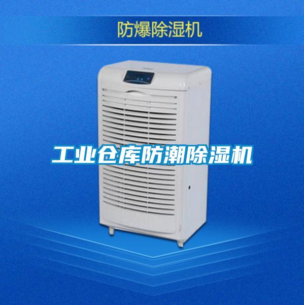 工業(yè)倉庫防潮除濕機(jī)