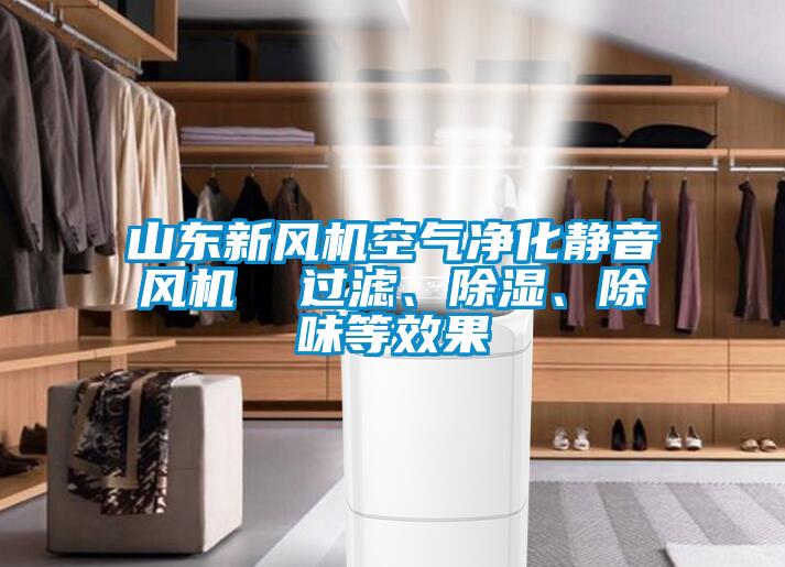 山東新風(fēng)機(jī)空氣凈化靜音風(fēng)機(jī)  過(guò)濾、除濕、除味等效果