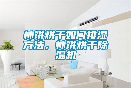 柿餅烘干如何排濕方法，柿餅烘干除濕機(jī)