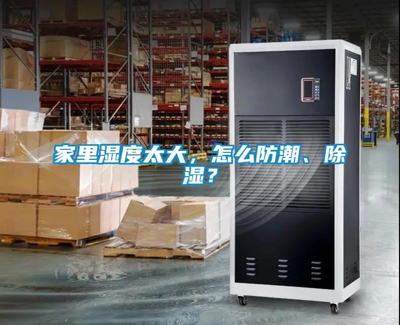 家里濕度太大，怎么防潮、除濕？