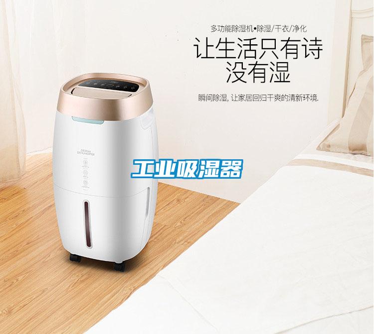工業(yè)吸濕器