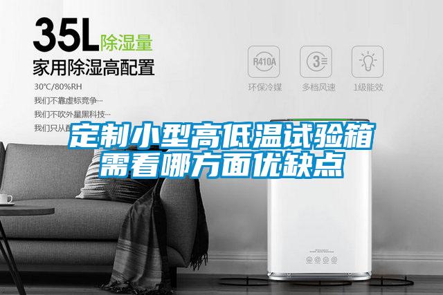 定制小型高低溫試驗箱需看哪方面優(yōu)缺點