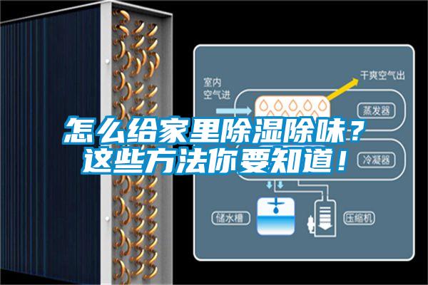 怎么給家里除濕除味？這些方法你要知道！