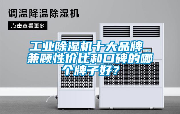 工業(yè)除濕機(jī)十大品牌 兼顧性?xún)r(jià)比和口碑的哪個(gè)牌子好？