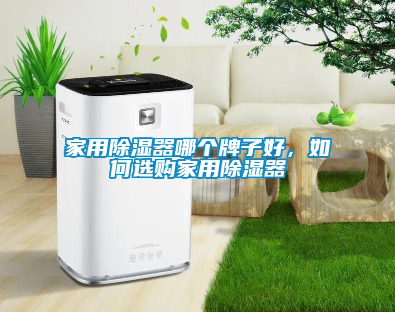 家用除濕器哪個牌子好，如何選購家用除濕器
