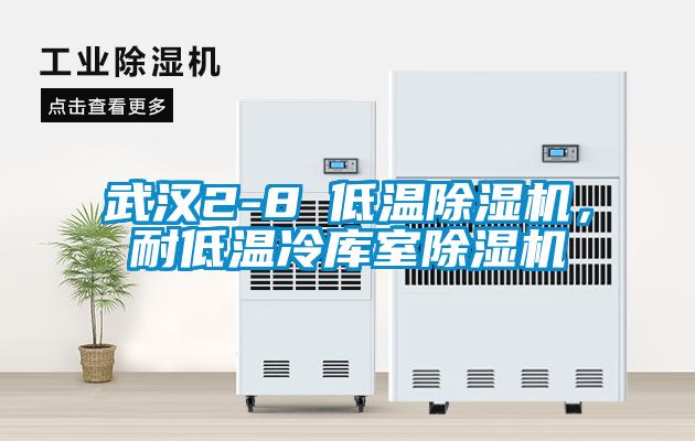 武漢2-8℃低溫除濕機(jī)，耐低溫冷庫室除濕機(jī)
