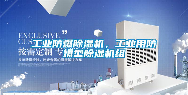 工業(yè)防爆除濕機，工業(yè)用防爆型除濕機組