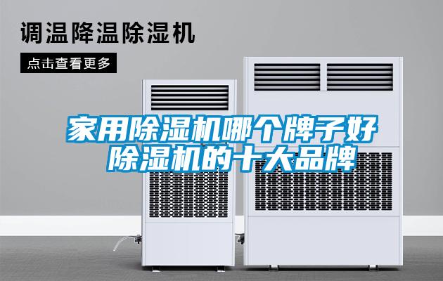 家用除濕機(jī)哪個牌子好 除濕機(jī)的十大品牌