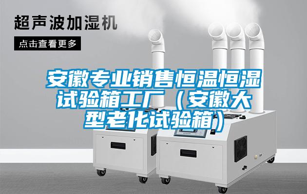 安徽專業(yè)銷售恒溫恒濕試驗箱工廠（安徽大型老化試驗箱）