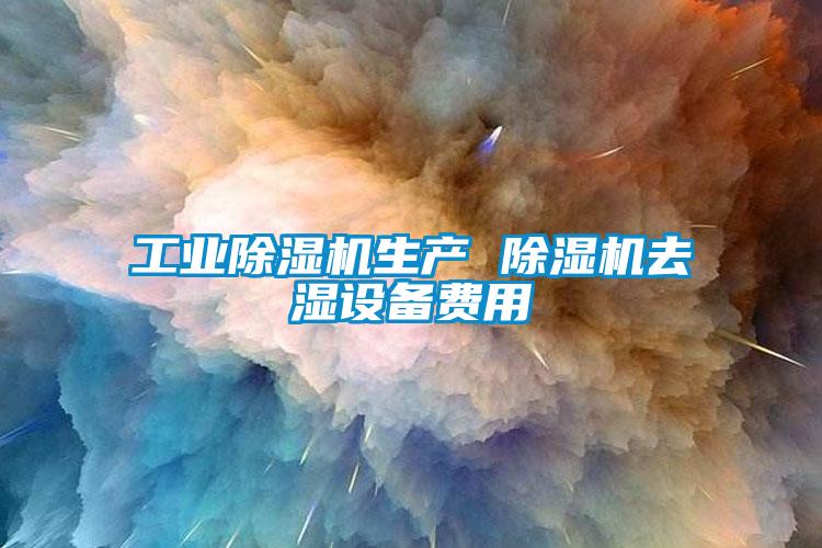 工業(yè)除濕機生產(chǎn) 除濕機去濕設(shè)備費用