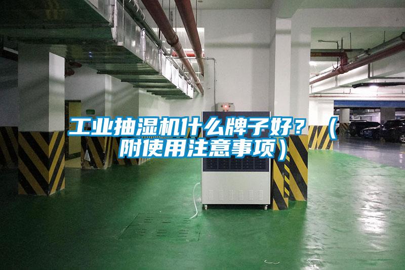 工業(yè)抽濕機(jī)什么牌子好？（附使用注意事項(xiàng)）