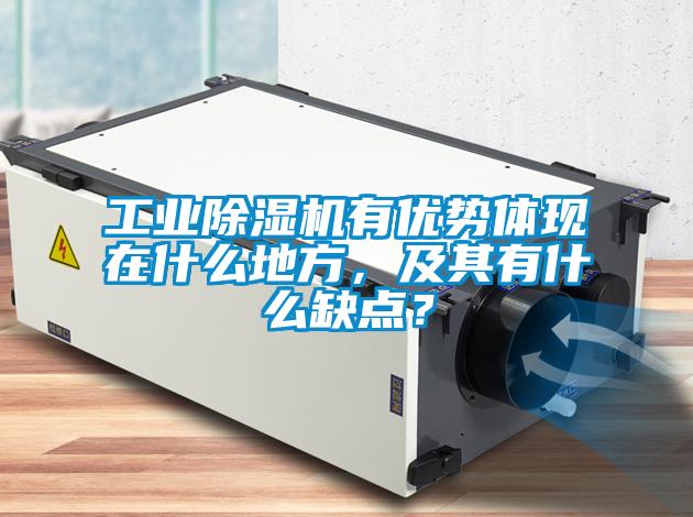 工業(yè)除濕機(jī)有優(yōu)勢(shì)體現(xiàn)在什么地方，及其有什么缺點(diǎn)？