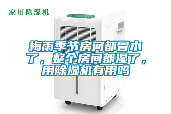 梅雨季節(jié)房間都冒水了，整個房間都濕了，用除濕機(jī)有用嗎