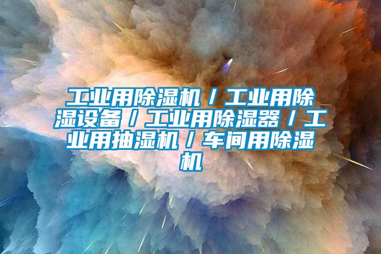 工業(yè)用除濕機／工業(yè)用除濕設(shè)備／工業(yè)用除濕器／工業(yè)用抽濕機／車間用除濕機