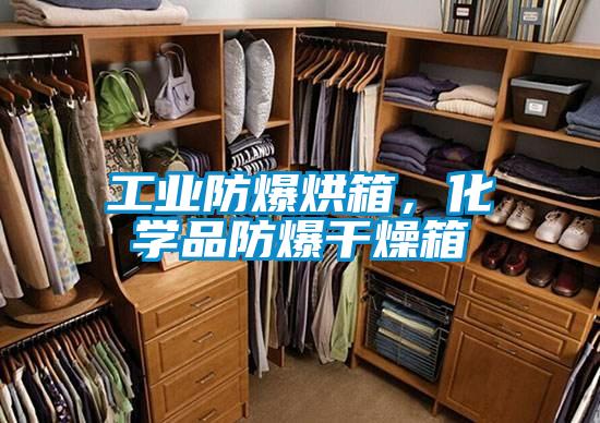 工業(yè)防爆烘箱，化學(xué)品防爆干燥箱