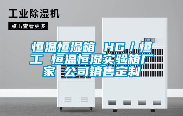 恒溫恒濕箱 HG／恒工 恒溫恒濕實(shí)驗(yàn)箱廠家 公司銷售定制