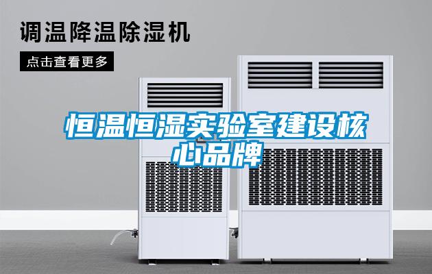 恒溫恒濕實驗室建設(shè)核心品牌