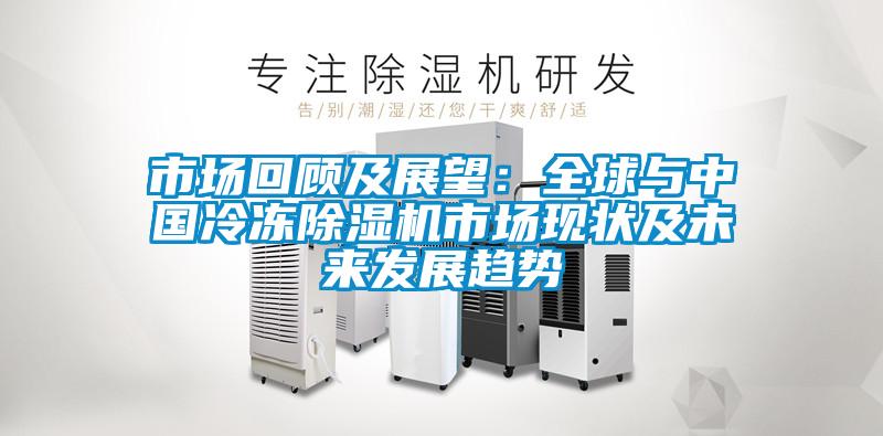 市場(chǎng)回顧及展望：全球與中國(guó)冷凍除濕機(jī)市場(chǎng)現(xiàn)狀及未來(lái)發(fā)展趨勢(shì)