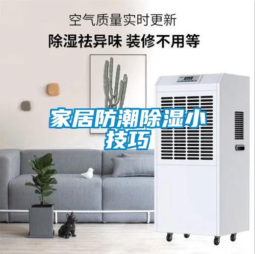 家居防潮除濕小技巧