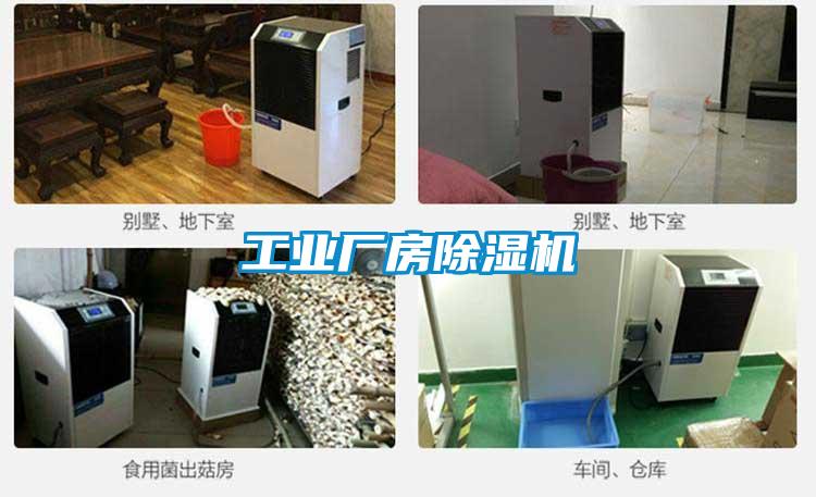 工業(yè)廠房除濕機(jī)