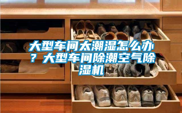 大型車間太潮濕怎么辦？大型車間除潮空氣除濕機(jī)