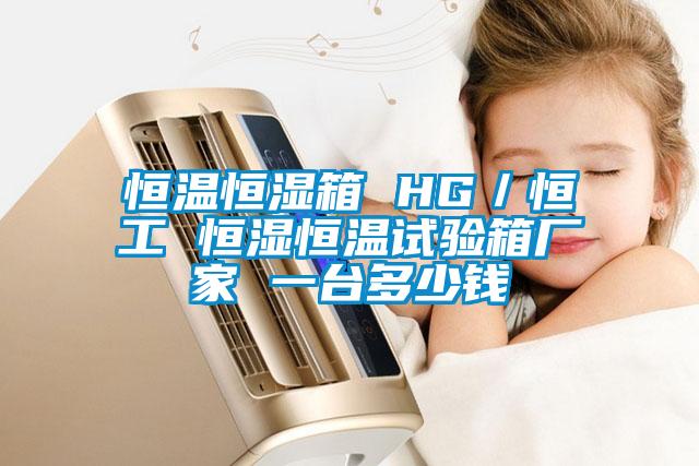 恒溫恒濕箱 HG／恒工 恒濕恒溫試驗(yàn)箱廠家 一臺(tái)多少錢