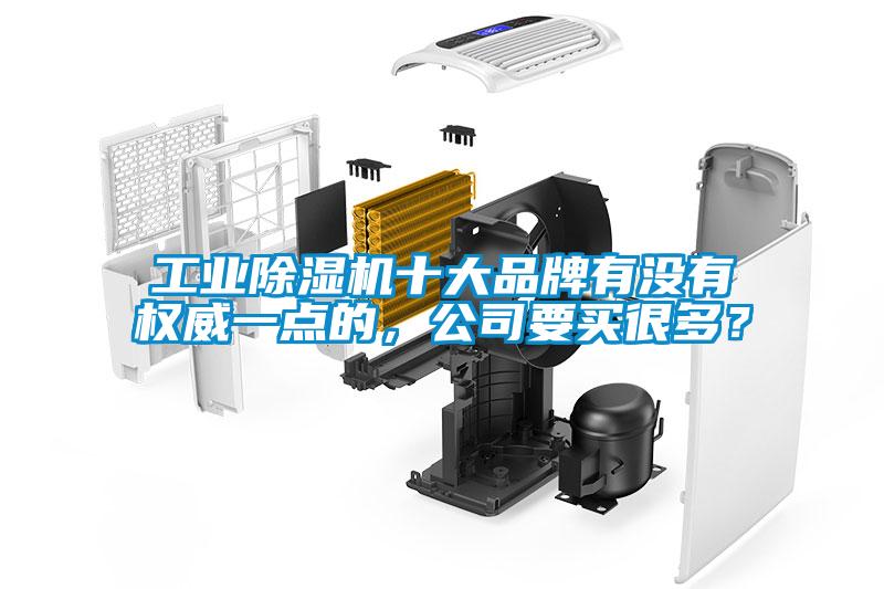 工業(yè)除濕機(jī)十大品牌有沒(méi)有權(quán)威一點(diǎn)的，公司要買(mǎi)很多？