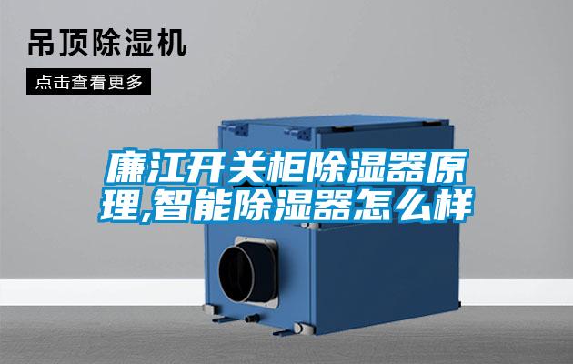 廉江開關(guān)柜除濕器原理,智能除濕器怎么樣