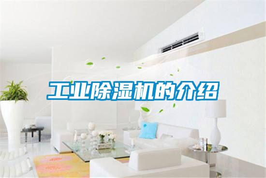 工業(yè)除濕機的介紹
