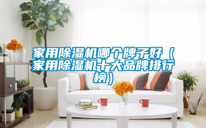 家用除濕機(jī)哪個牌子好（家用除濕機(jī)十大品牌排行榜）