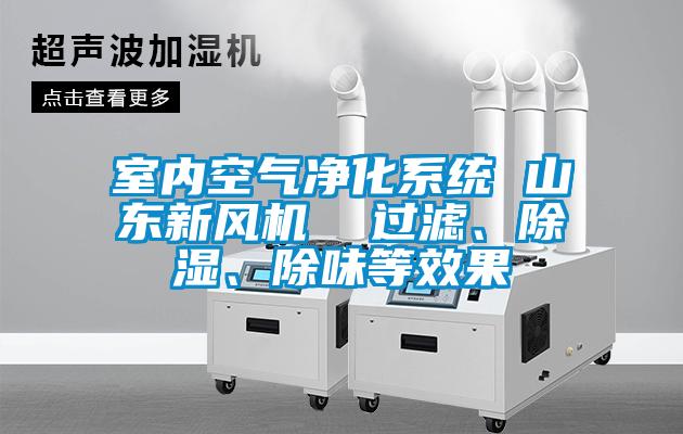 室內(nèi)空氣凈化系統(tǒng) 山東新風(fēng)機(jī)  過濾、除濕、除味等效果