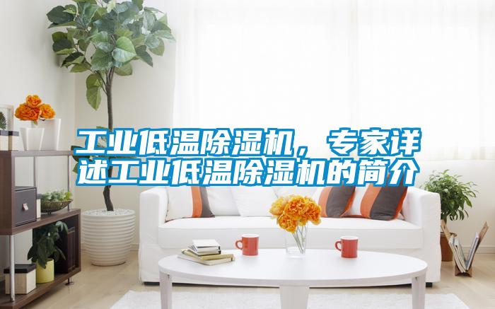 工業(yè)低溫除濕機(jī)，專家詳述工業(yè)低溫除濕機(jī)的簡介