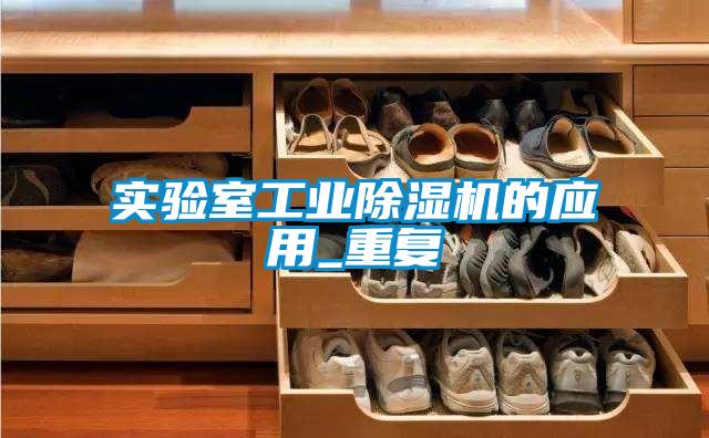 實驗室工業(yè)除濕機(jī)的應(yīng)用_重復(fù)