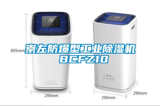 崇左防爆型工業(yè)除濕機 BCFZ10