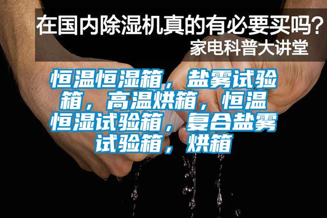 恒溫恒濕箱，鹽霧試驗箱，高溫烘箱，恒溫恒濕試驗箱，復合鹽霧試驗箱，烘箱