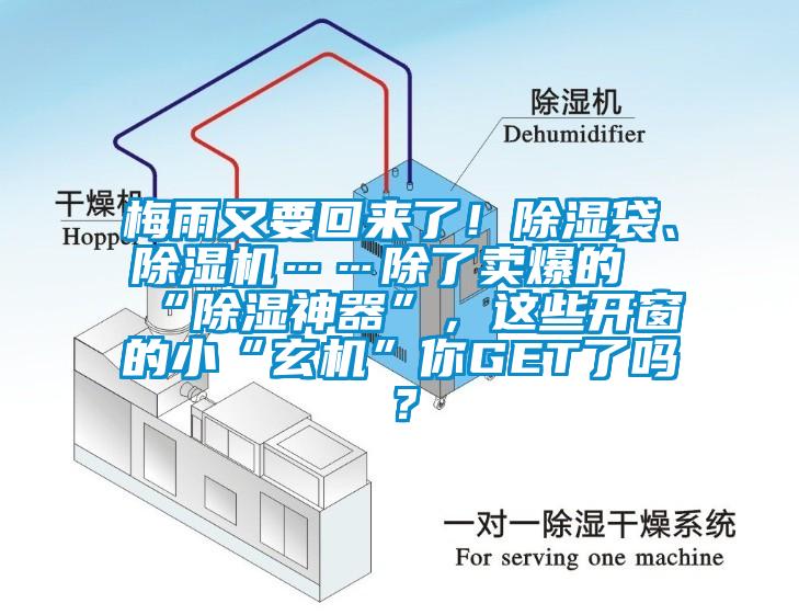 梅雨又要回來了！除濕袋、除濕機……除了賣爆的“除濕神器”，這些開窗的小“玄機”你GET了嗎？