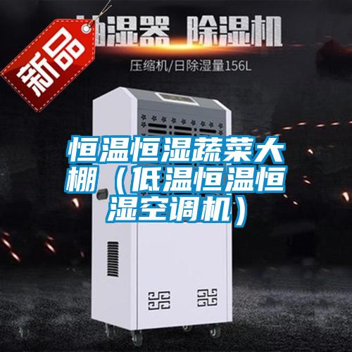 恒溫恒濕蔬菜大棚（低溫恒溫恒濕空調(diào)機(jī)）