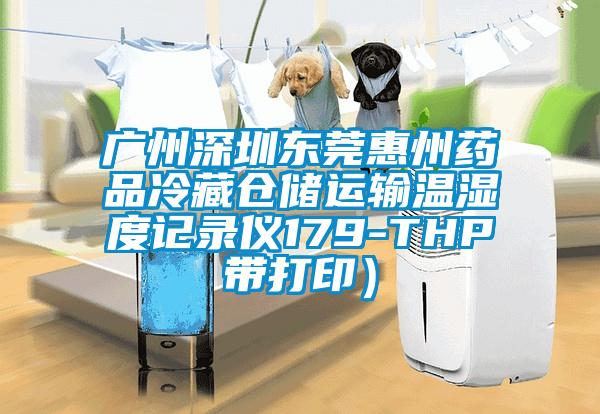 廣州深圳東莞惠州藥品冷藏倉儲運(yùn)輸溫濕度記錄儀179-THP帶打印）