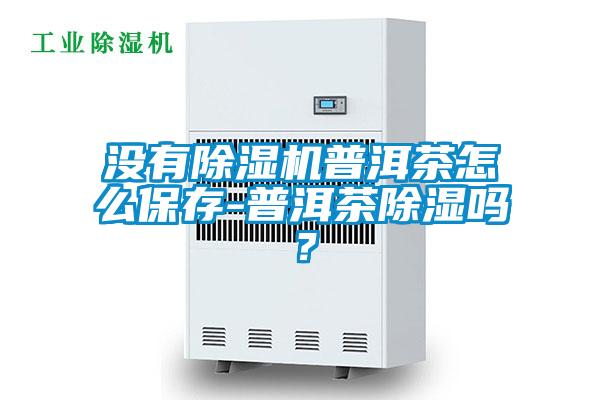沒有除濕機普洱茶怎么保存-普洱茶除濕嗎？