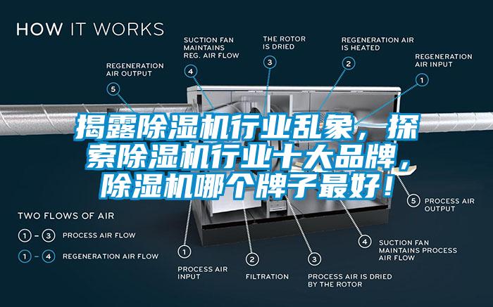 揭露除濕機行業(yè)亂象，探索除濕機行業(yè)十大品牌，除濕機哪個牌子最好！