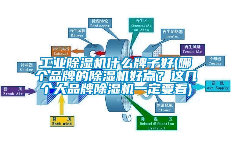 工業(yè)除濕機什么牌子好(哪個品牌的除濕機好點？這幾個大品牌除濕機一定要看)