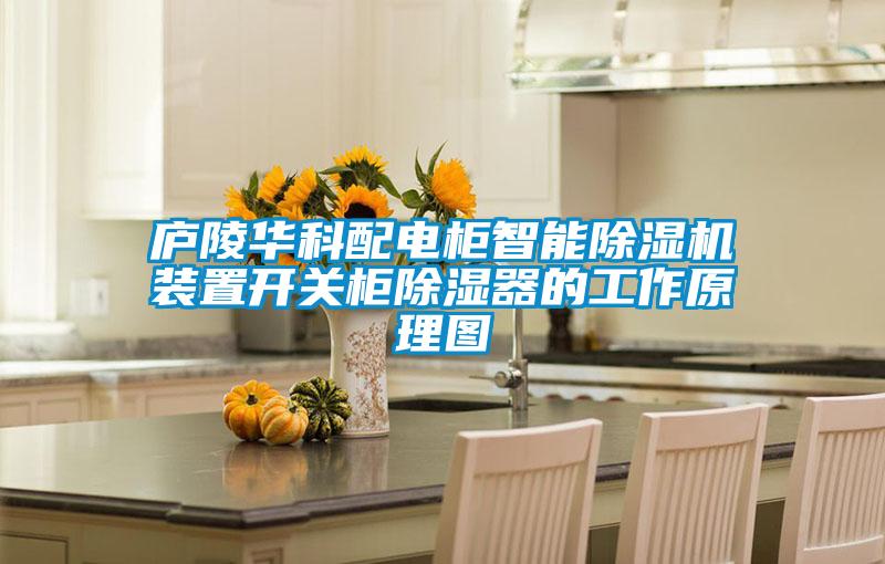 廬陵華科配電柜智能除濕機裝置開關(guān)柜除濕器的工作原理圖
